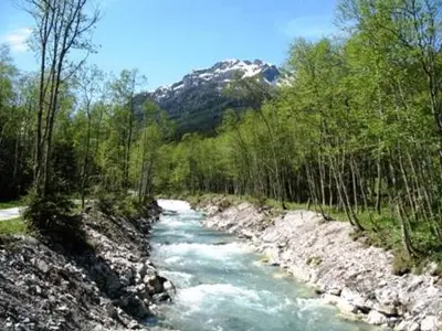 Naturlandschaft in der Nähe der Pension