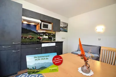 Küche/Küchenzeile in der Unterkunft Apartments Luidold