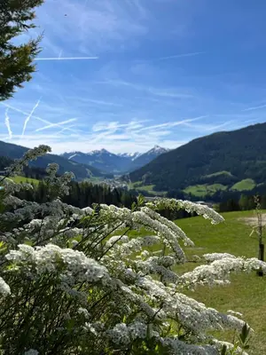 Naturlandschaft in der Nähe des Ferienhauses