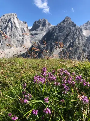Naturlandschaft in der Nähe des Ferienhauses