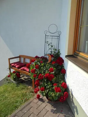 Ein Garten an der Unterkunft Ferienhaus Steger Maria
