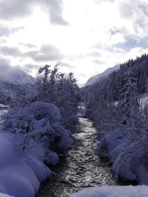 Naturlandschaft in der Nähe des Chalets