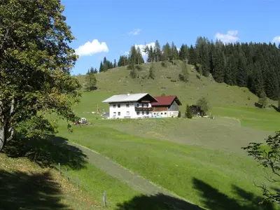 Naturlandschaft in der Nähe des Bauernhofs