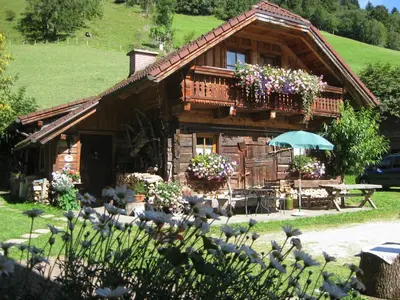 Ein Garten an der Unterkunft Auerhof