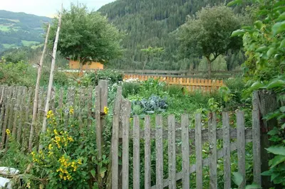 Naturlandschaft in der Nähe des Bauernhofs