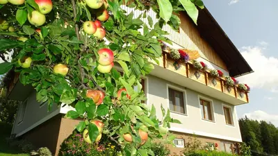 Ein Garten an der Unterkunft Ferienwohnung Greim