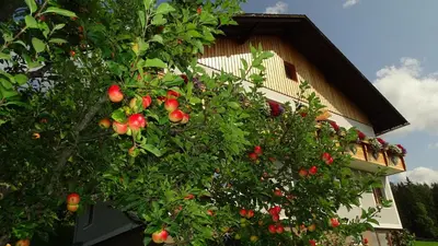 Ein Garten an der Unterkunft Ferienwohnung Greim