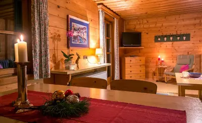 TV/Unterhaltungsangebot in der Unterkunft Chalets Ebner