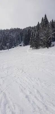 Dachstein view ski apartment im Winter