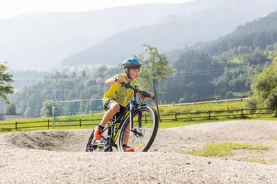 Radfahren an der Unterkunft Ferienwohnung Lassing oder in der Nähe