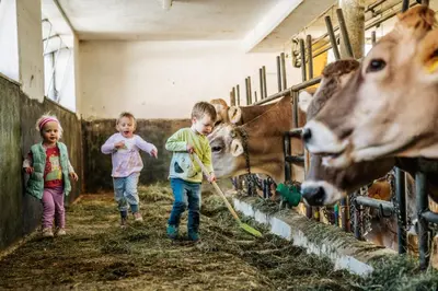 Tiere in diesem Bauernhof oder in der Nähe
