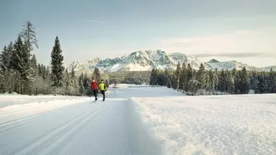 Linharterhof im Winter