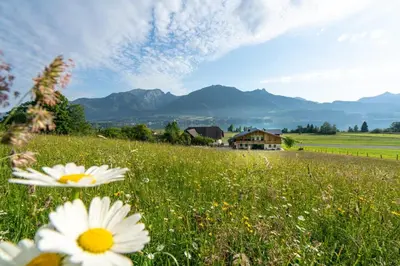 Naturlandschaft in der Nähe der Ferienwohnung