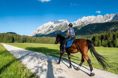Reiten in der Ferienwohnung oder in der Nähe
