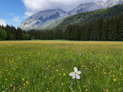 Naturlandschaft in der Nähe der Ferienwohnung