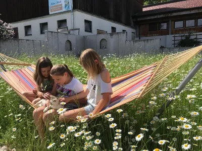 Grundriss der Unterkunft Scharfetthof