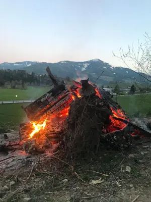 Naturlandschaft in der Nähe der Ferienwohnung
