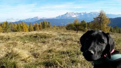 Ein allgemeiner Bergblick oder ein Berglick von der Ferienwohnung aus