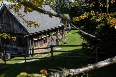 Ein Garten an der Unterkunft Buchmann Lehen