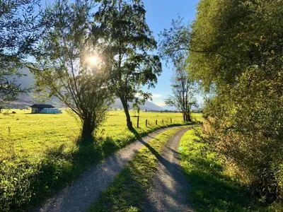Naturlandschaft in der Nähe der Ferienwohnung