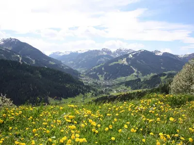 Naturlandschaft in der Nähe der Ferienwohnung