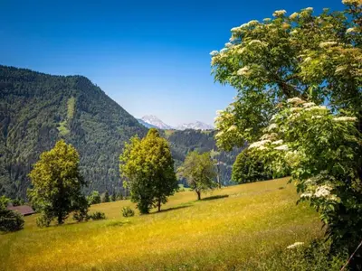 Naturlandschaft in der Nähe der Ferienwohnung