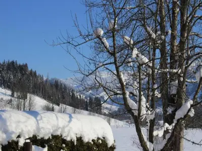 Apartment in Flachau near Ski Lift im Winter