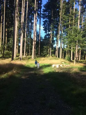 Naturlandschaft in der Nähe der Ferienwohnung