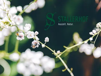 Grundriss der Unterkunft Stallerhof