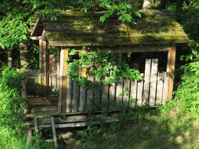 Ein Garten an der Unterkunft Haus Loidl