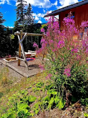 Ein Garten an der Unterkunft Almhütte