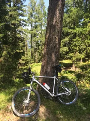 Radfahren an der Unterkunft Alpenferienhaus Kreischberg oder in der Nähe