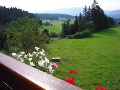 Naturlandschaft in der Nähe der Ferienwohnung