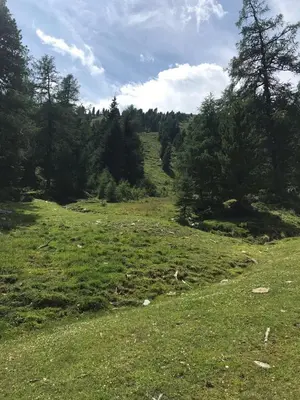Naturlandschaft in der Nähe des Bed & Breakfasts