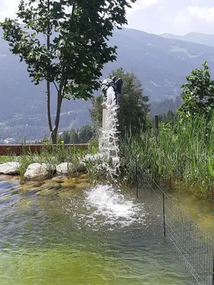 Naturlandschaft in der Nähe der Ferienwohnung