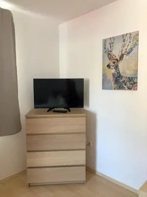 TV/Unterhaltungsangebot in der Unterkunft Forsthof Next Door