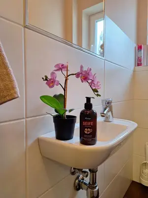 Ein Badezimmer in der Unterkunft Die Schladmingerin