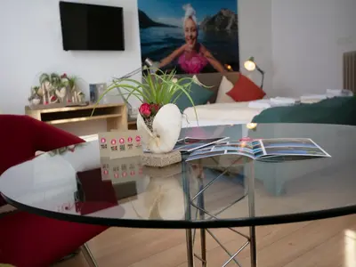 TV/Unterhaltungsangebot in der Unterkunft Schlafmeile Traunsee