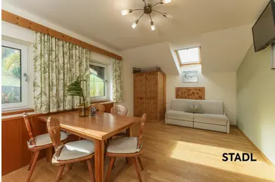 TV/Unterhaltungsangebot in der Unterkunft Stögergut by Schladming-Appartements