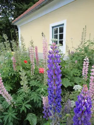 Ein Garten an der Unterkunft Lindenhof