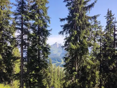 Naturlandschaft in der Nähe der Ferienwohnung