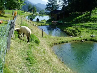 Naturlandschaft in der Nähe der Pension