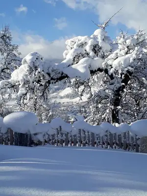 Appartements Lehenhof im Winter