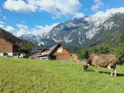 Naturlandschaft in der Nähe des Bauernhofs