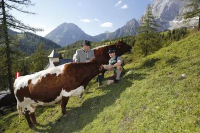 Tiere im Chalet oder in der Nähe