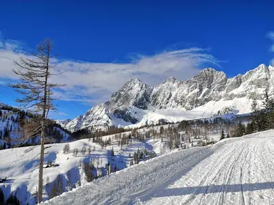 Brandhof - Chalet am Berg im Winter