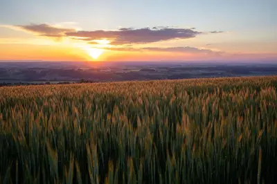 Blick auf den Sonnenuntergang/Sonnenaufgang von des Bauernhofs aus oder aus der Nähe