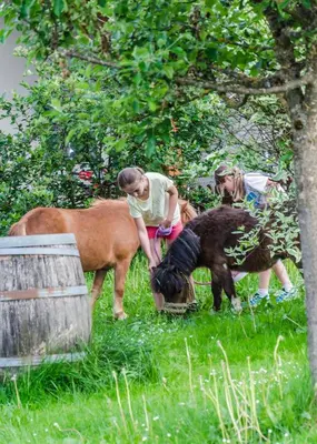 Tiere in der Ferienwohnung oder in der Nähe