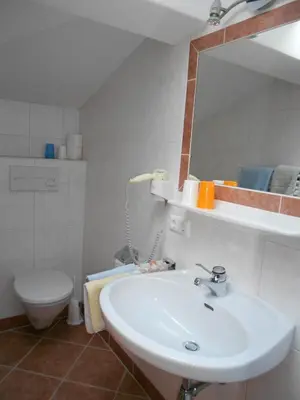 Ein Badezimmer in der Unterkunft Pension Thorerhof