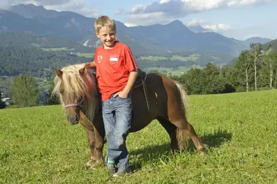 Tiere in diesem Bauernhof oder in der Nähe